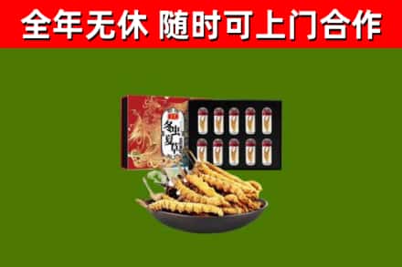 闻喜回收冬虫夏草价格